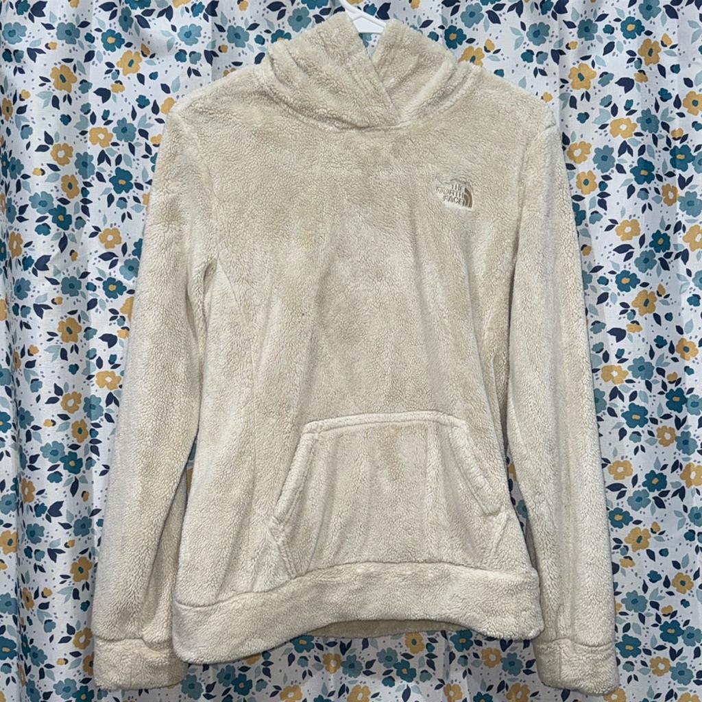 The North Face Brand Hoodie